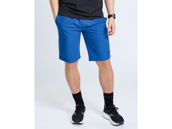 Pinewood Finnveden shorts