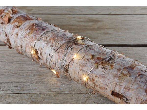 DGA LED lyskæde 120 cm, m/timer, 10 lys