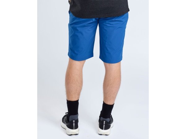 Pinewood Finnveden shorts