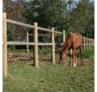 NSH ridebanehegn tryk. 80mtr NSH ridebanehegn tryk. 80mtr
