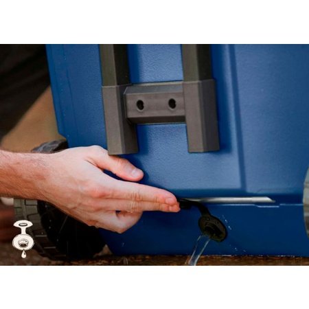 Coleman 50QT Marine Køleboks