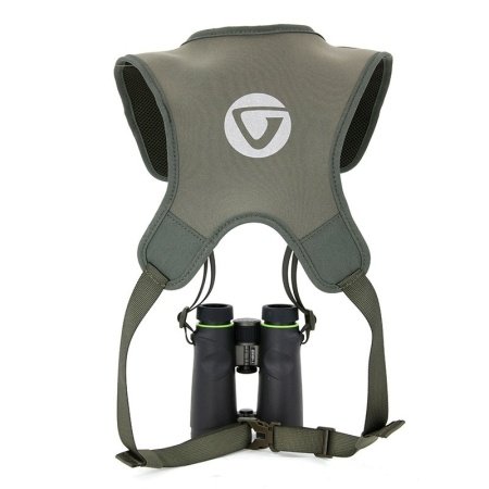 Vanguard kikkertsele