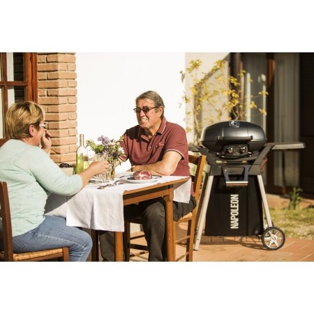 Napoleon gasgrill TravelQ sort