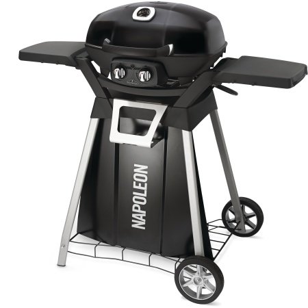 Napoleon gasgrill TravelQ sort