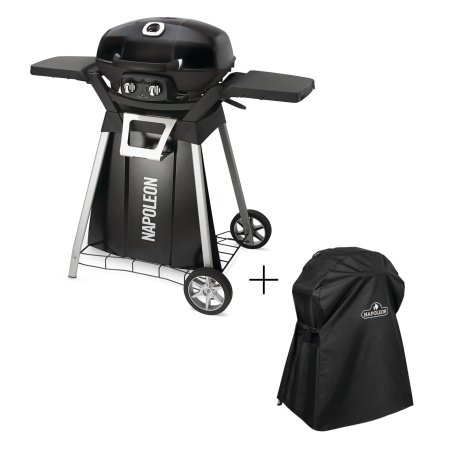 Napoleon gasgrill TravelQ