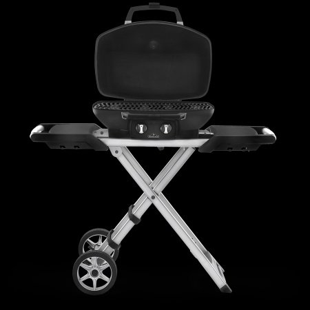 Napoleon gasgrill