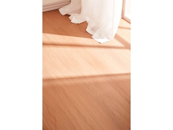 Wallmann Nature Eg Plank