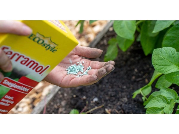 Ecostyle Ferramol sneglefri 500 gr. Billedet viser produktet med hvid baggrund.