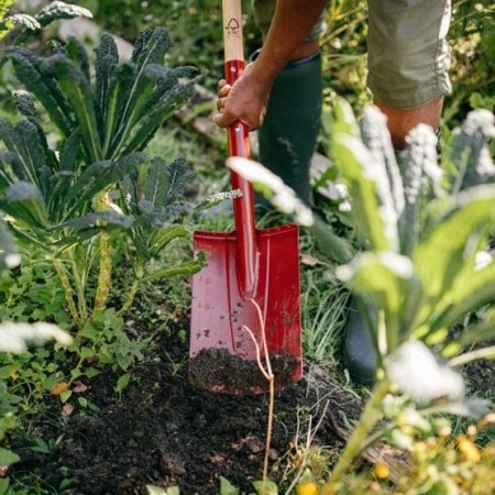 Fiskars Classic spade