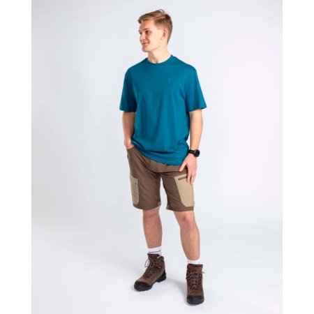 Pinewood Finnveden shorts