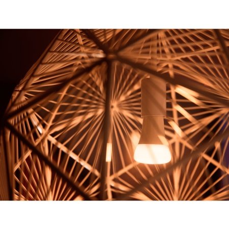 Philips Hue starter kit     *U