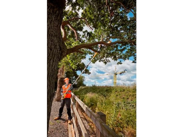 Dewalt akku kædesav