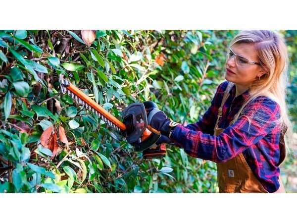 Worx WG264E.9 PowerShare 20V Hækkeklipper Worx WG264E.9 PowerShare 20V Hækkeklipper. SOLO, 56 cm. Billedet viser produktet fra siden.