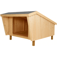 Plus shelter Plus shelter