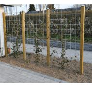 NSH espalier rionet galv. NSH espalier rionet galv.