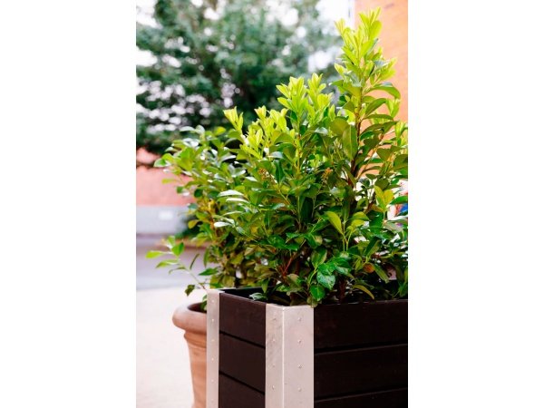 Plus Cubic blomsterkasse