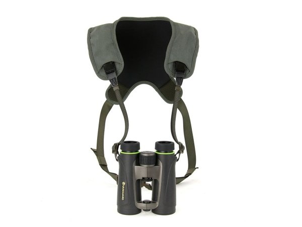 Vanguard kikkertsele