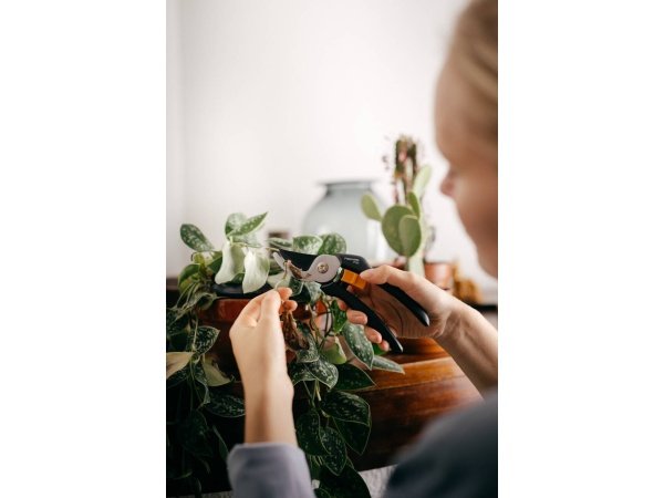 Fiskars Solid beskærersaks