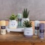 Belton Perfect Lavendel Flower spraymaling