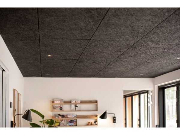 Troldtekt ultrafin træbeton