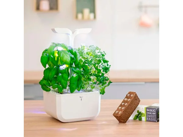 Indoor Garden Classic
