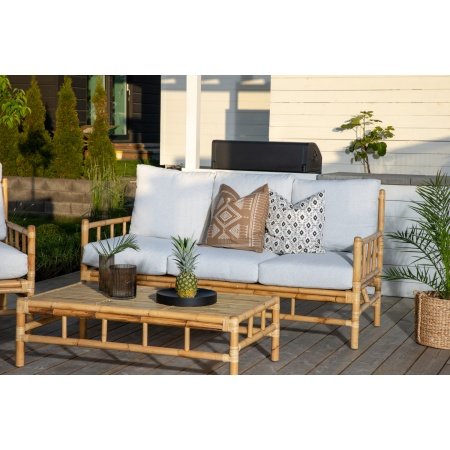 Venture D. havesofa Cane