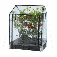 Hortus væksthus enkelt høj Hortus væksthus enkelt høj