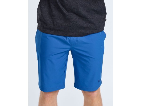 Pinewood Finnveden shorts