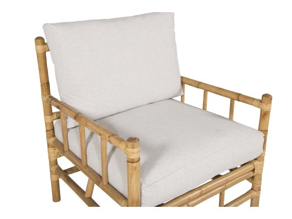 Venture D. havestol Cane