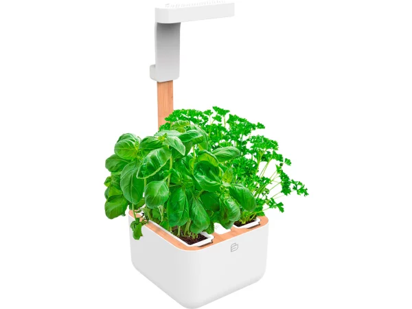 Indoor Garden EYLO