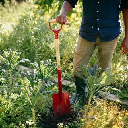 Fiskars Classic spade