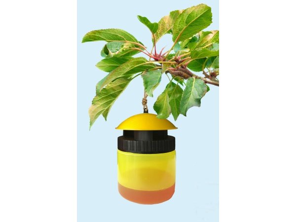 HvepseFri hvepsefælde