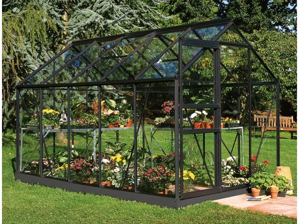 Halls Popular 106 6,2m²drivhus