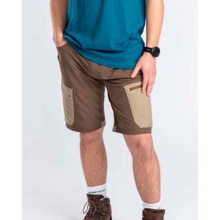 Pinewood Finnveden shorts