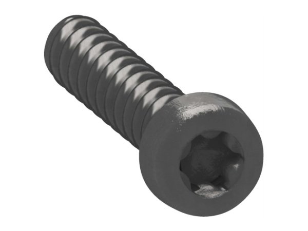 LK FUGA skrue TORX10 20stk  *U