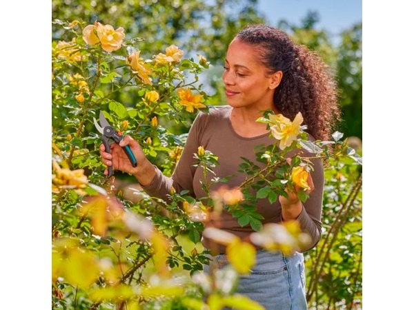 Gardena beskærersaks Supercut Flex Gardena beskærersaks Supercut Flex. Billedet viser produktet lukket.