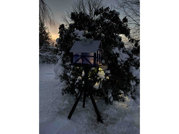 Ryom fuglefoderhus Panorama