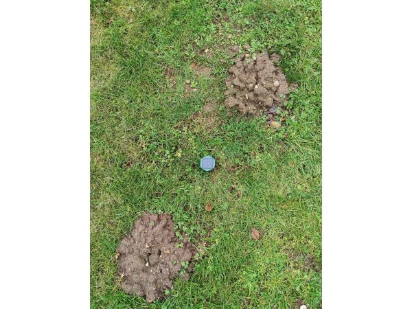 Ryom muldvarpeskræmmer