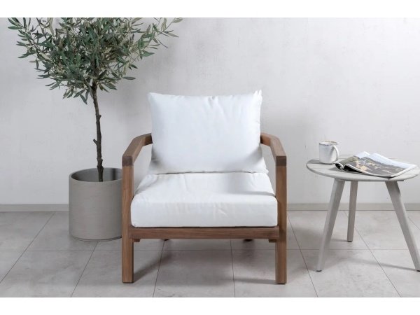 Venture D. havestol Erica