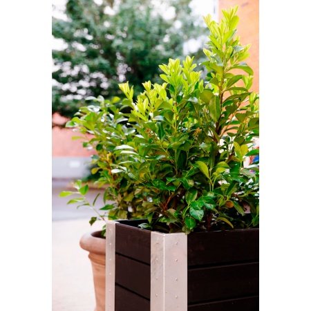 Plus Cubic blomsterkasse