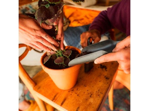 Fiskars 2i1 planteske & børste